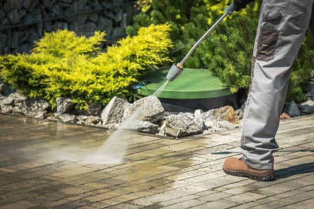 Best Animal Enclosure Cleaning  in Sullivan, IL